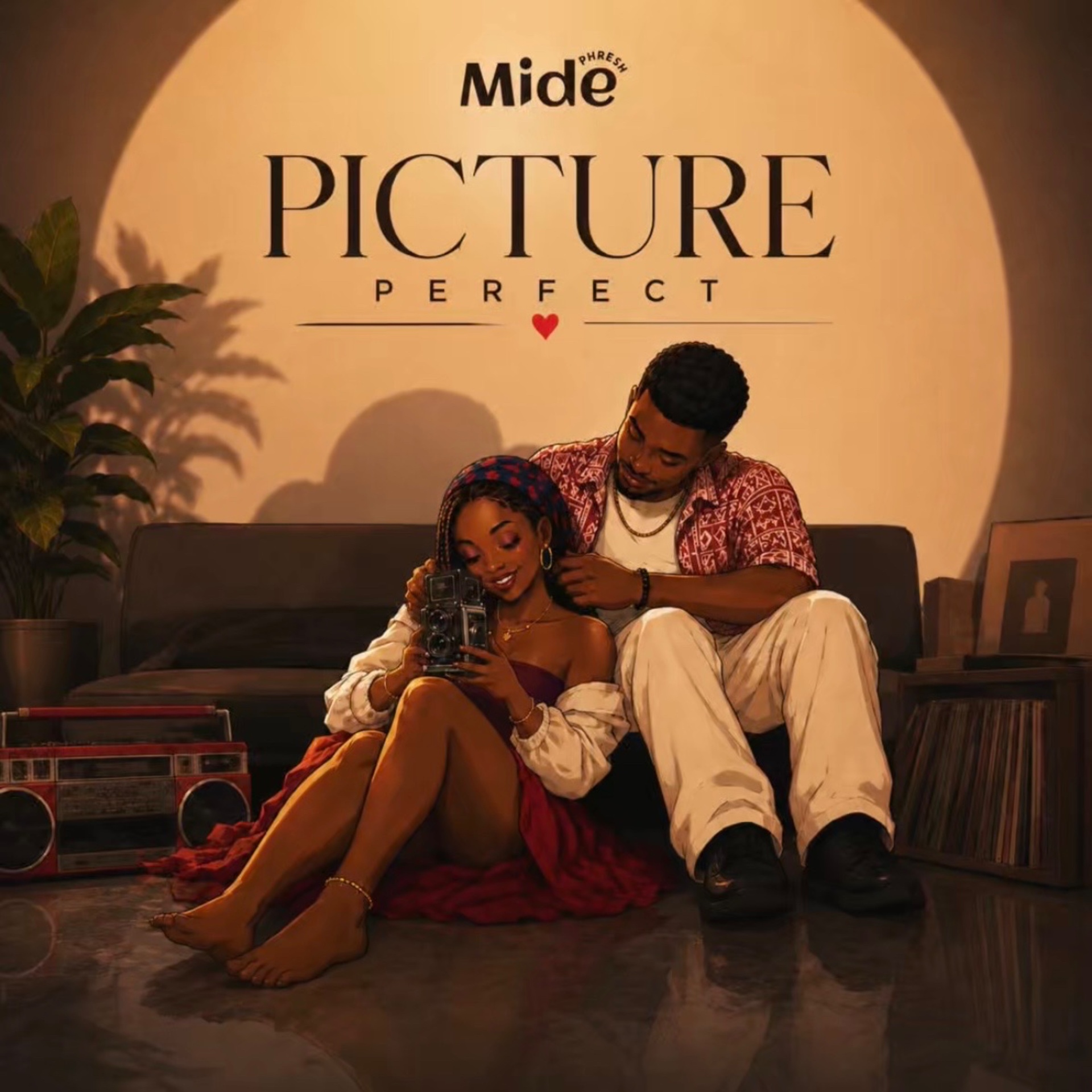 Picture Perfect cover art